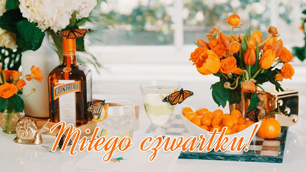 Poranny piknik miłego czwartku